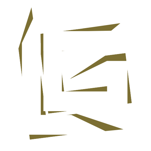 THE LIMITESS GROUP ENTERPRISE LLC